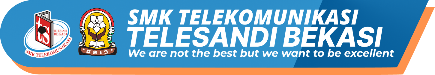 Telesandi Logo